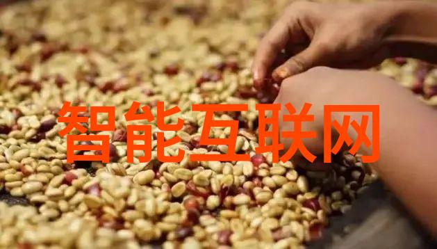 英伟达完成对以色列AI创企Runai的收购