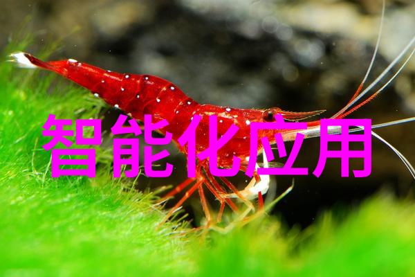 暴风小魔投投影仪看世界杯就是爽