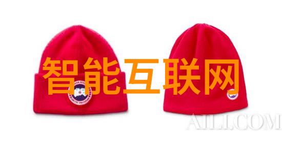 南京邮电岳中刚运营商亟需推进物联网与3G有效融合