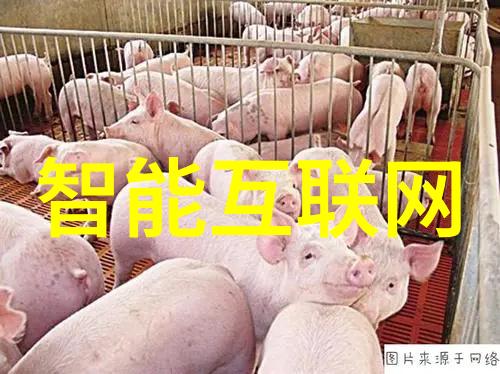 小米全新洗碗机上架消存一体升级价格亲民让清洁更高效