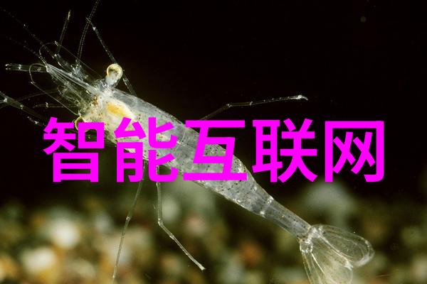物联网或成企业网络最大风险